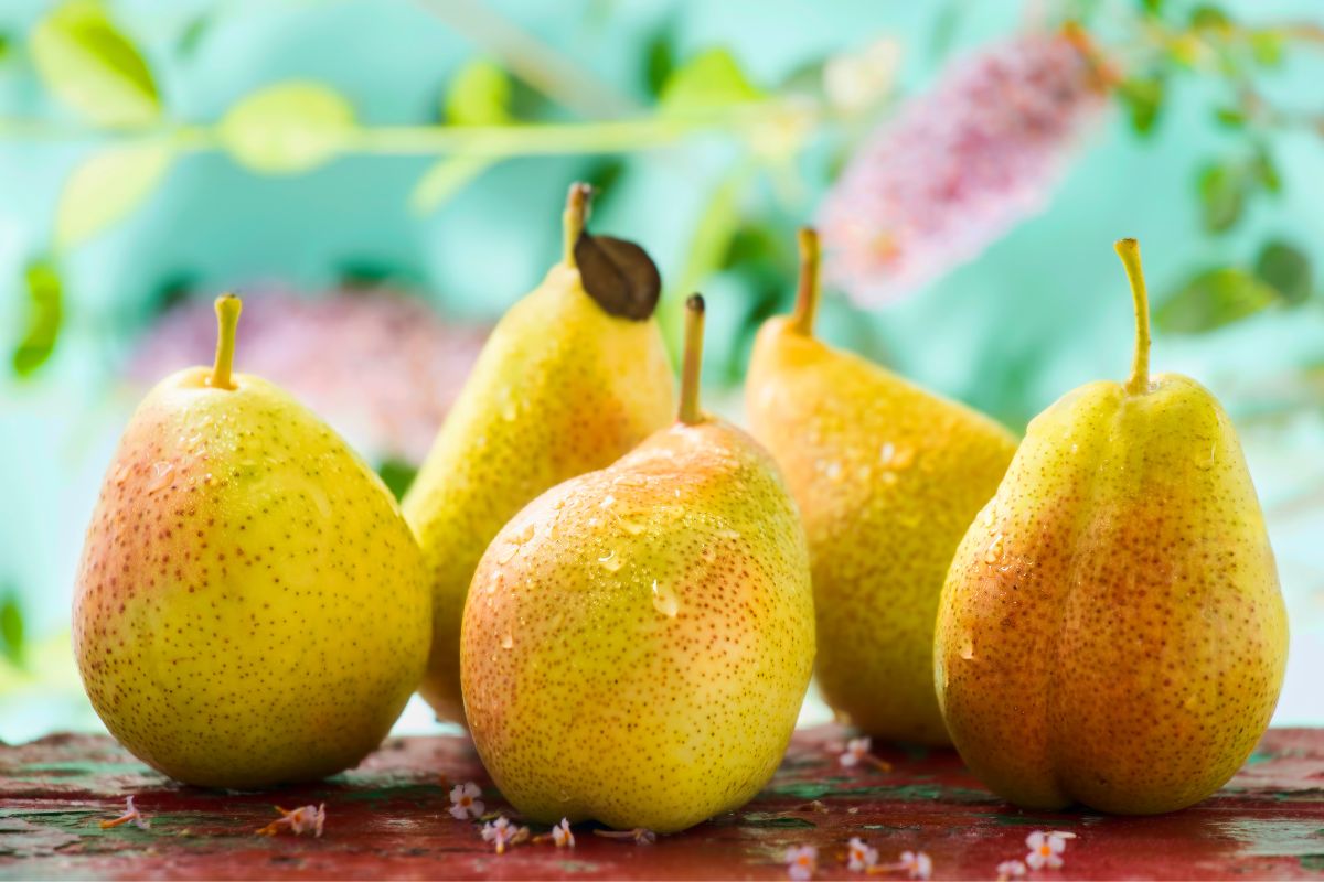 Five ripe pears on a wooden table.