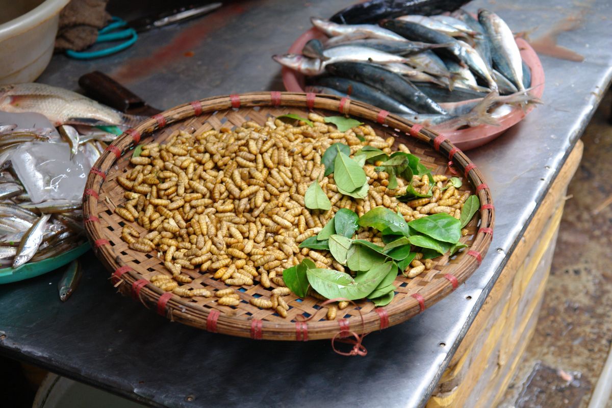 A bamboo plate full of maggots with green leaves next to a plate of fish on a table.