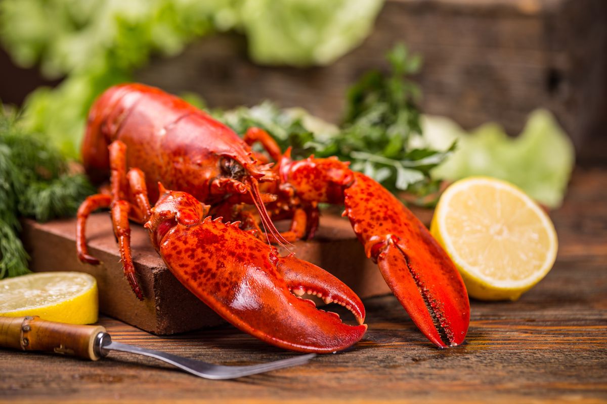 A red lobster on a wooden cutting board on a wooden table with a fork and ingredients around.
