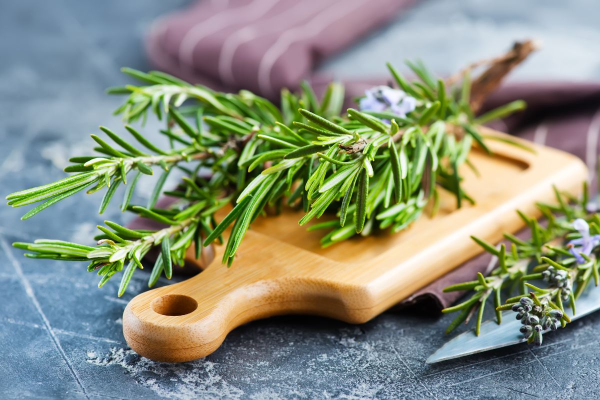 Rosemary on a wooden cutting board on a gray table.