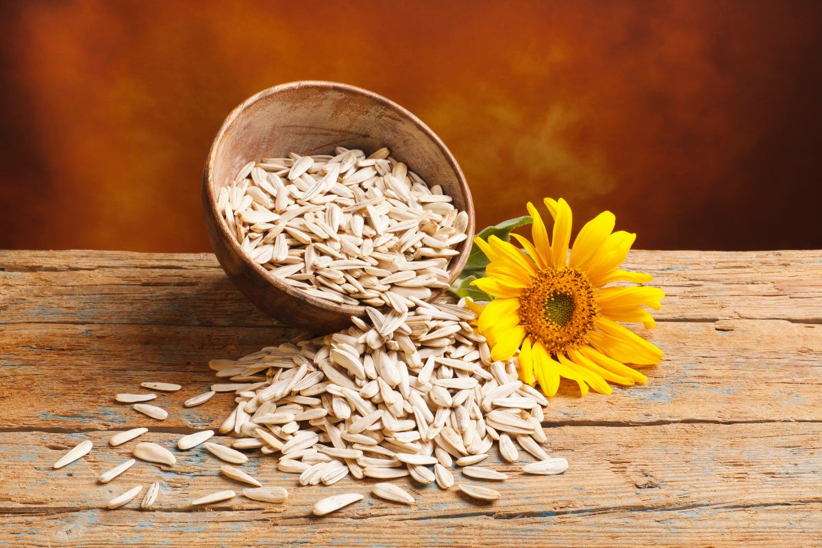 A wooden bowl of sunflower seeds spilled on a wooden table with a sunflower.