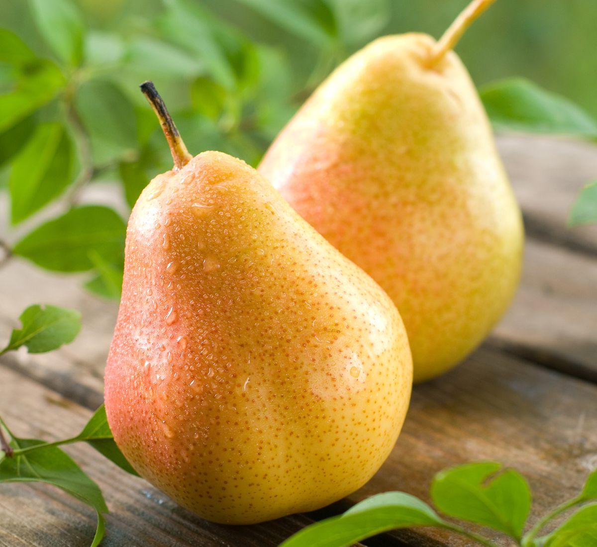 Two ripe pears on a wooden table.