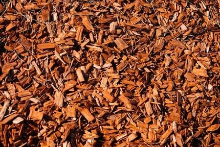 Is Cedar Mulch Safe for Chickens
