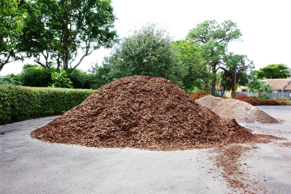 A big pile of  bark mulch.