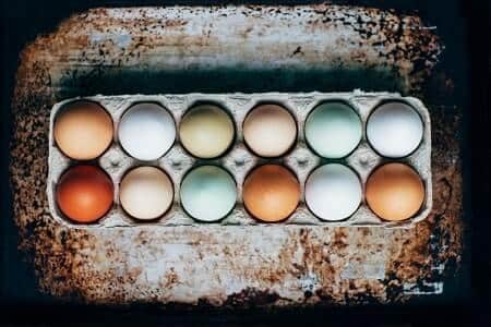 What Color Eggs Do Araucanas and Ameraucanas Lay
