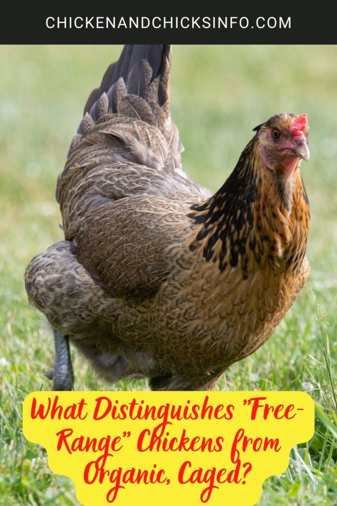 What Distinguishes 