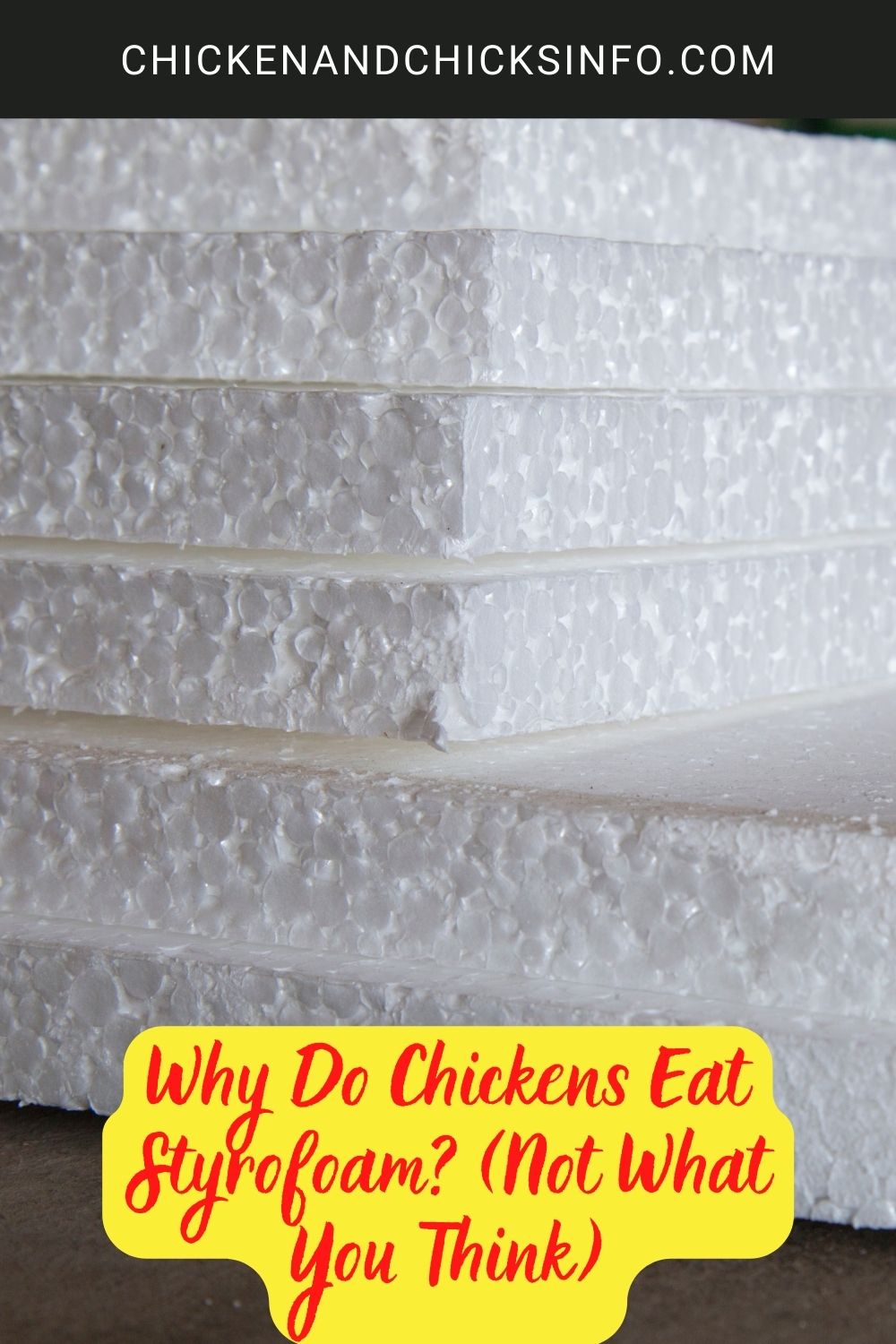 Why Do Chickens Eat Styrofoam? (Not What You Think) poster.
