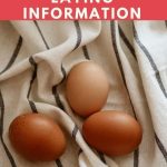 ISA Brown Chicken Egg Color