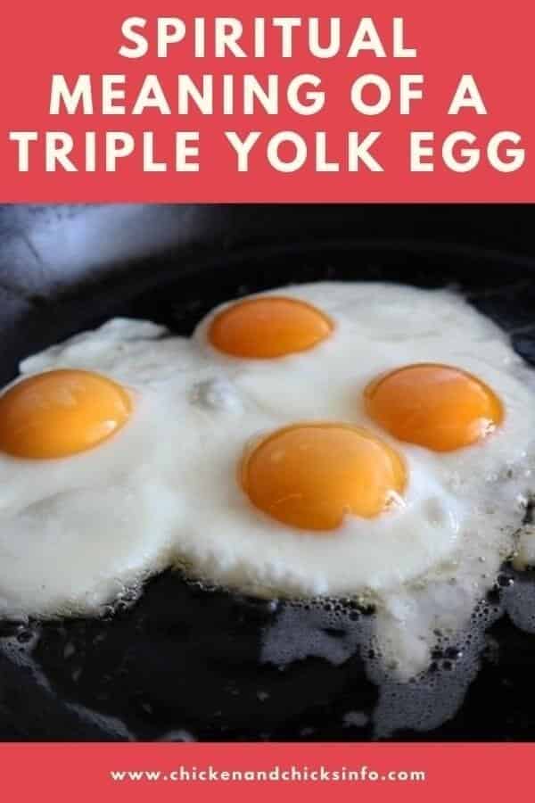 Spiritual Meaning of a Triple Yolk Egg