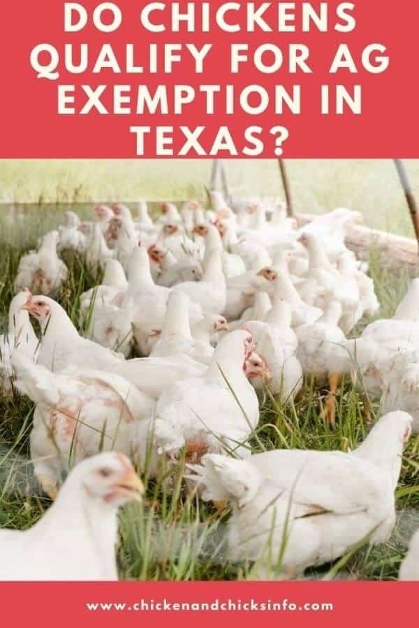 what qualifies as a farm in texas