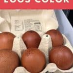 Penedesenca Egg Color