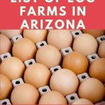 Egg Farms in Arizona