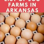 Egg Farms in Arkansas