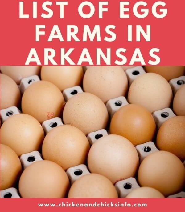 Egg Farms in Arkansas