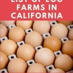 Egg Farms in California