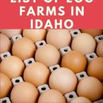 Egg Farms in Idaho