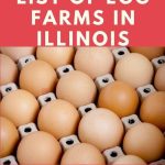Egg Farms in Illinois