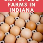 Egg Farms in Indiana