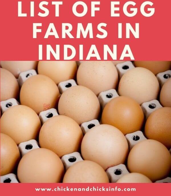 Egg Farms in Indiana
