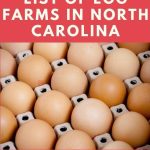 Egg Farms in North Carolina