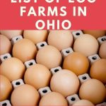 Egg Farms in Ohio