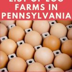 Egg Farms in Pennsylvania