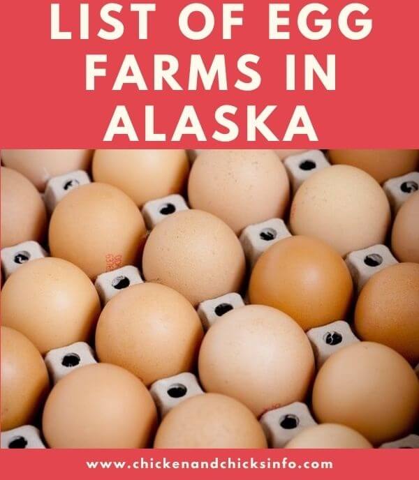 Egg Farms in Alaska