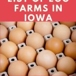 Egg Farms in Iowa