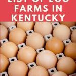 Egg Farms in Kentucky