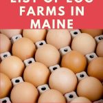 Egg Farms in Maine