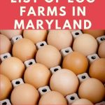 Egg Farms in Maryland