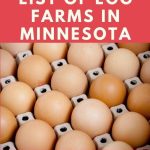 Egg Farms in Minnesota