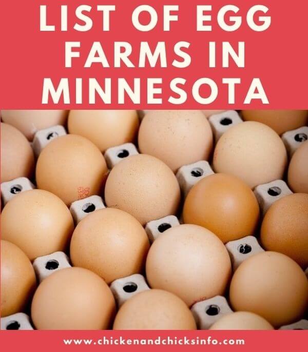 Egg Farms in Minnesota