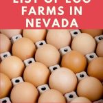 Egg Farms in Nevada