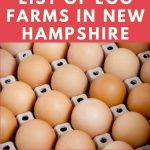 Egg Farms in New Hampshire