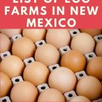 Egg Farms in New Mexico