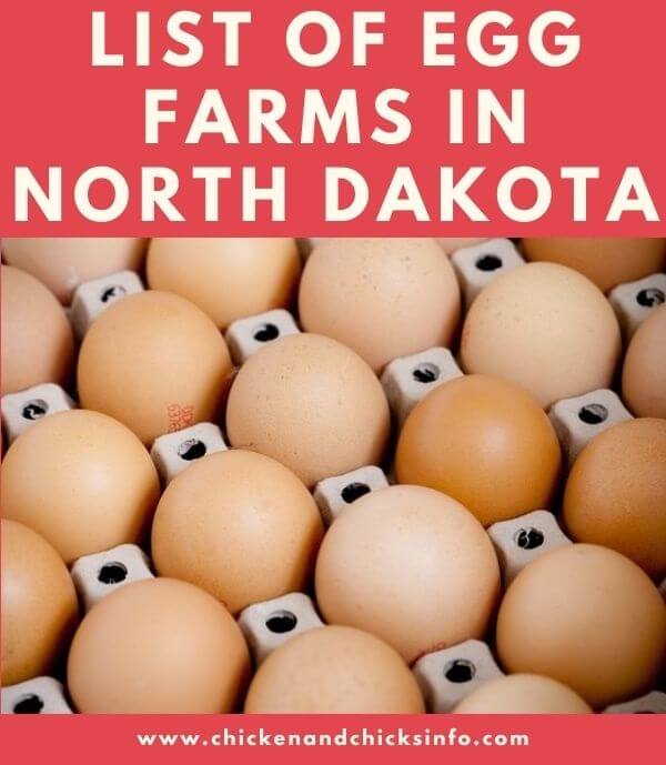 Egg Farms in North Dakota