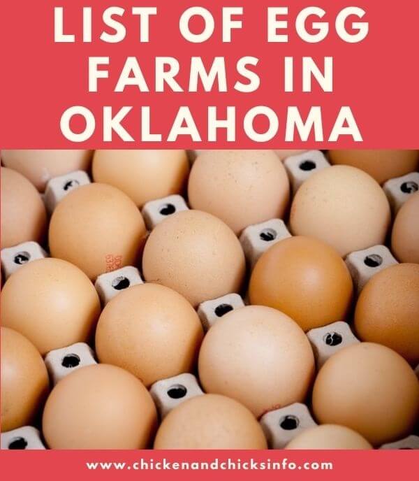Egg Farms in Oklahoma