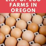 Egg Farms in Oregon