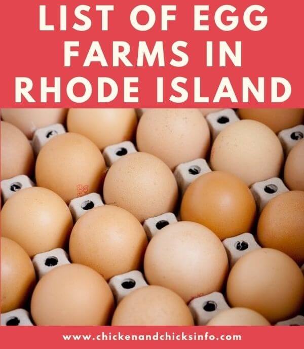 Egg Farms in Rhode Island