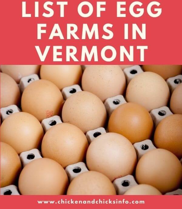 Egg Farms in Vermont