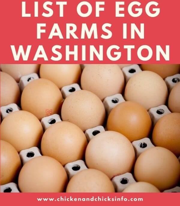 Egg Farms in Washington