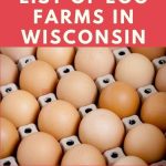 Egg Farms in Wisconsin