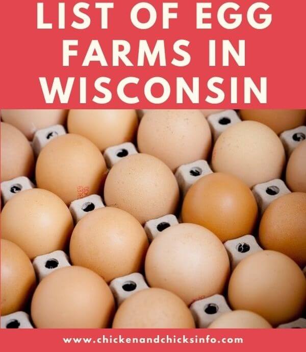 Egg Farms in Wisconsin