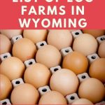 Egg Farms in Wyoming