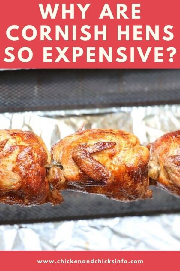 Why Are Cornish Hens So Expensive