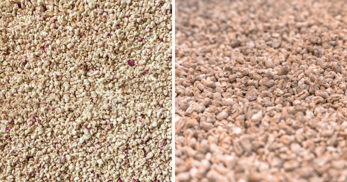 Corn Cob Bedding for Chickens (Why It’s a Bad Choice!) Chicken