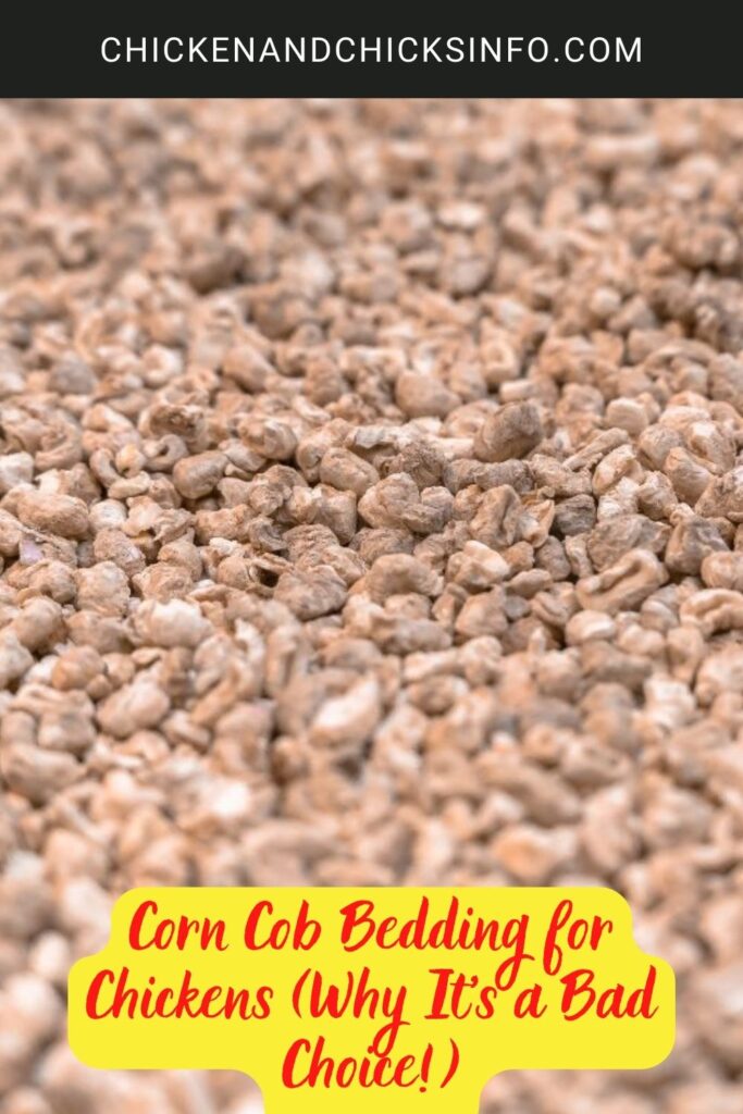 Corn Cob Bedding for Chickens (Why It’s a Bad Choice!) Chicken