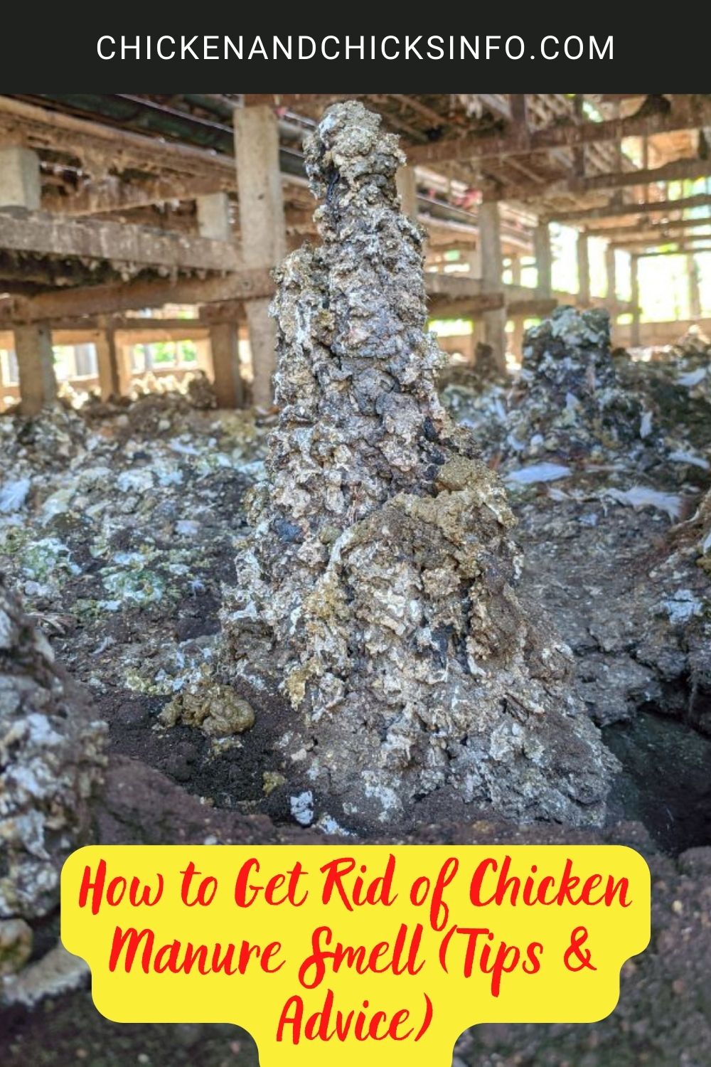 How to Get Rid of Chicken Manure Smell (Tips & Advice) poster.
