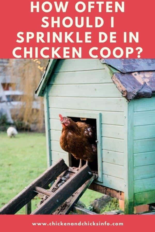 How Often Should I Sprinkle DE in Chicken Coop